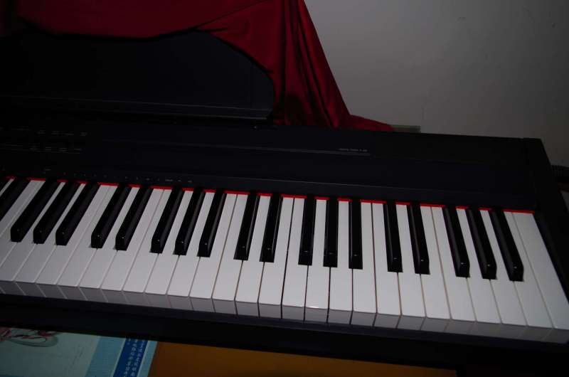 IMGP8269_.jpg