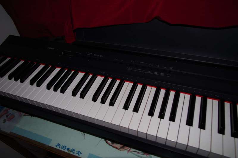 IMGP8270___.jpg