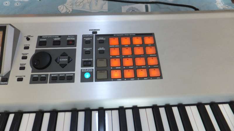 DSCF0870.JPG