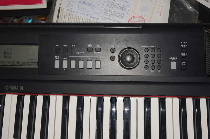 _IGP5423.JPG
