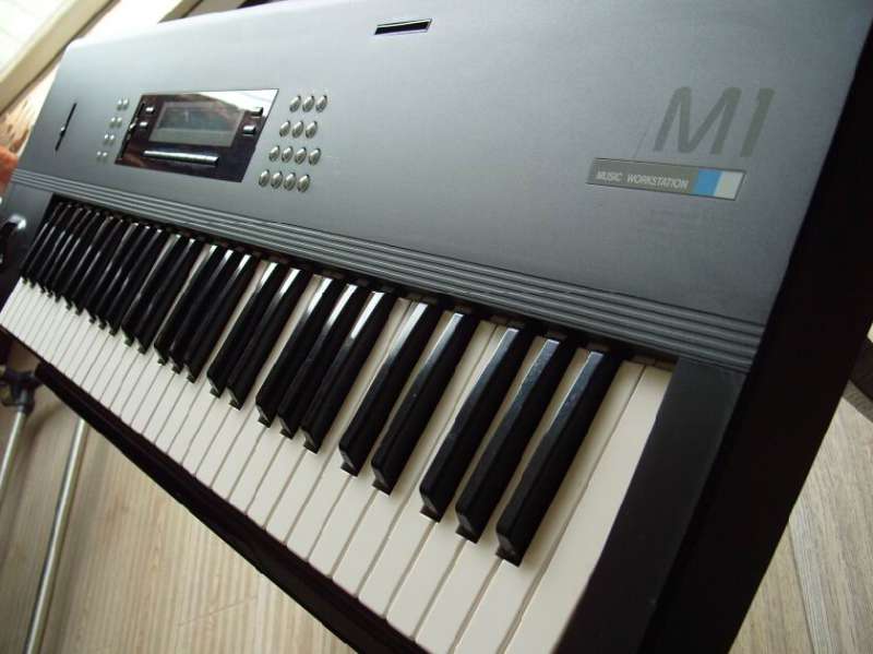 S1052951.JPG