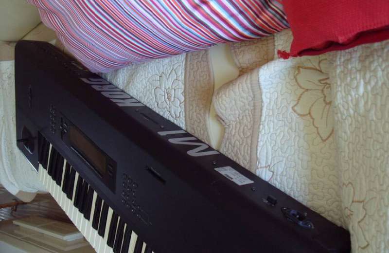 S1053173.JPG
