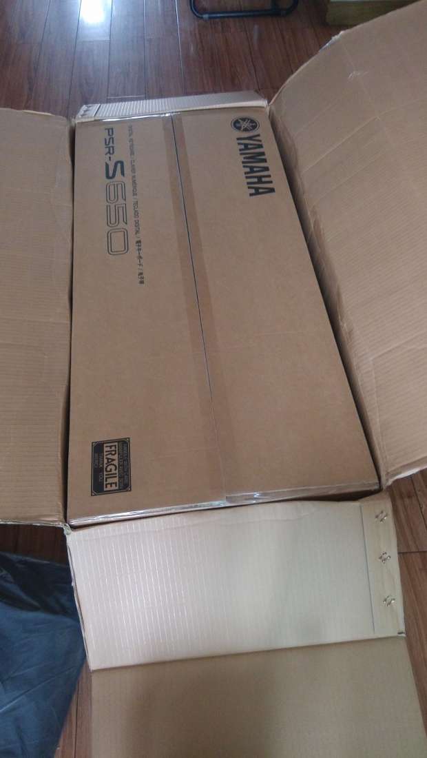 PSR650-3.jpg