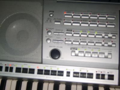 S8000590.JPG