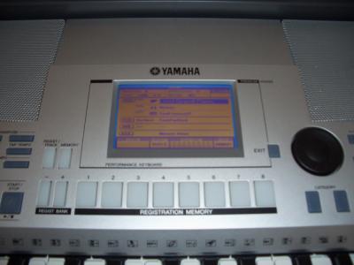 05.JPG