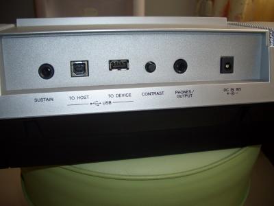 06.JPG