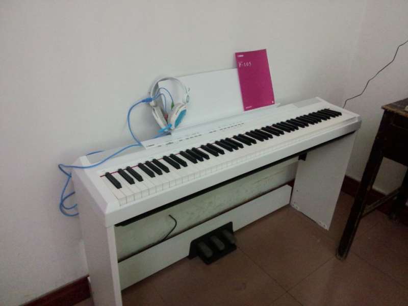 P105 1.jpg