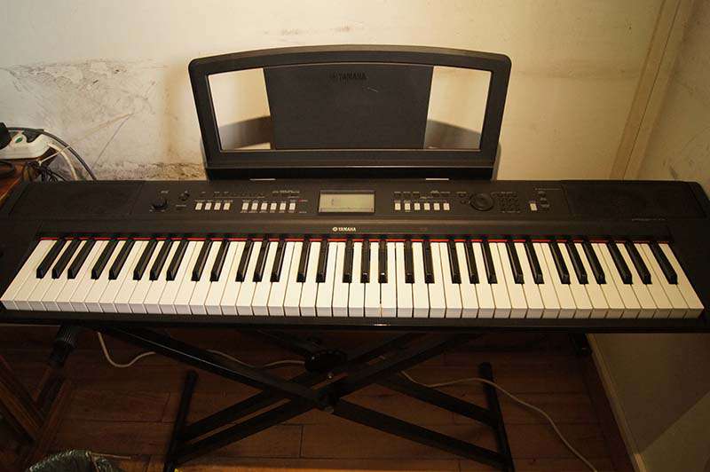 p1.jpg