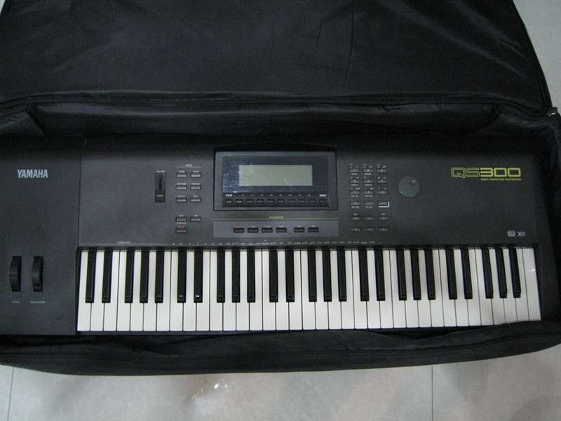 qs300a.jpg