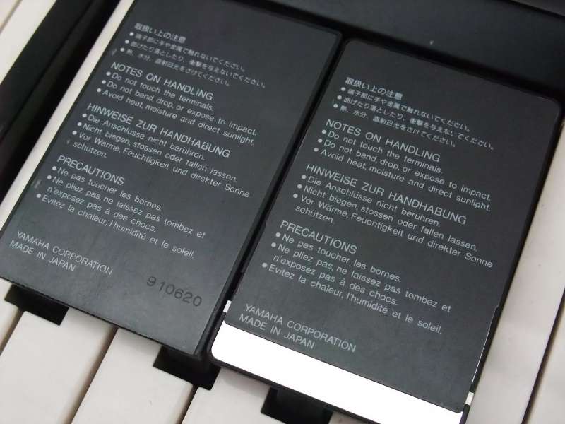DSCF8499.JPG