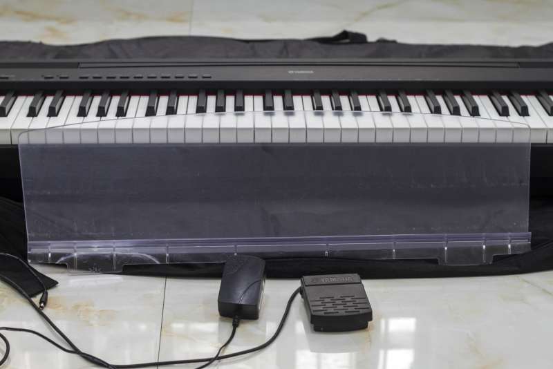 IMGM4298.jpg