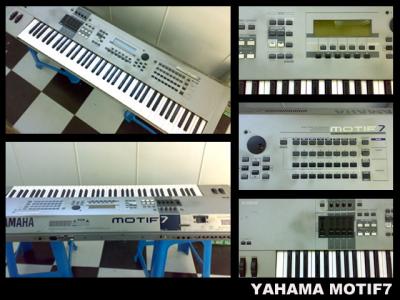 MOTIF7-1.jpg