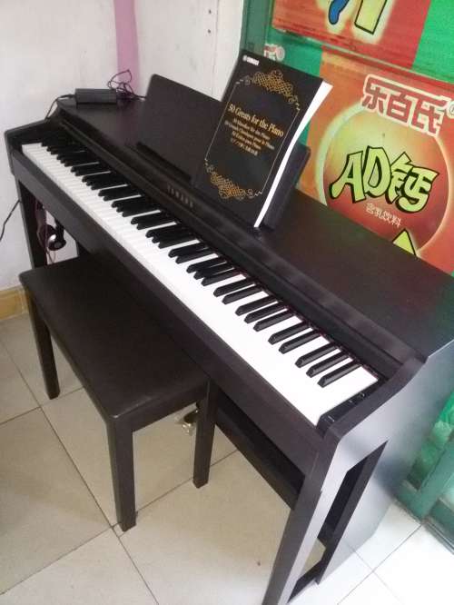 CLP525_.jpg