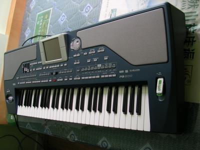PA800-02.JPG