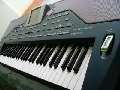 PA800-03.JPG