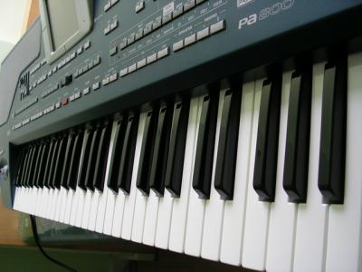 PA800-11.JPG