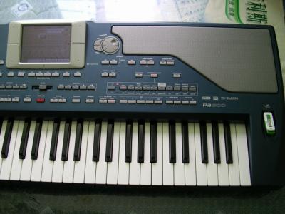 PA800-05.JPG