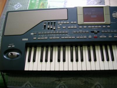 PA800-04.JPG