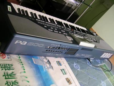 PA800-09.JPG