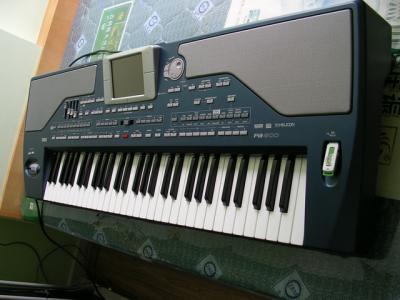 PA800-01.JPG