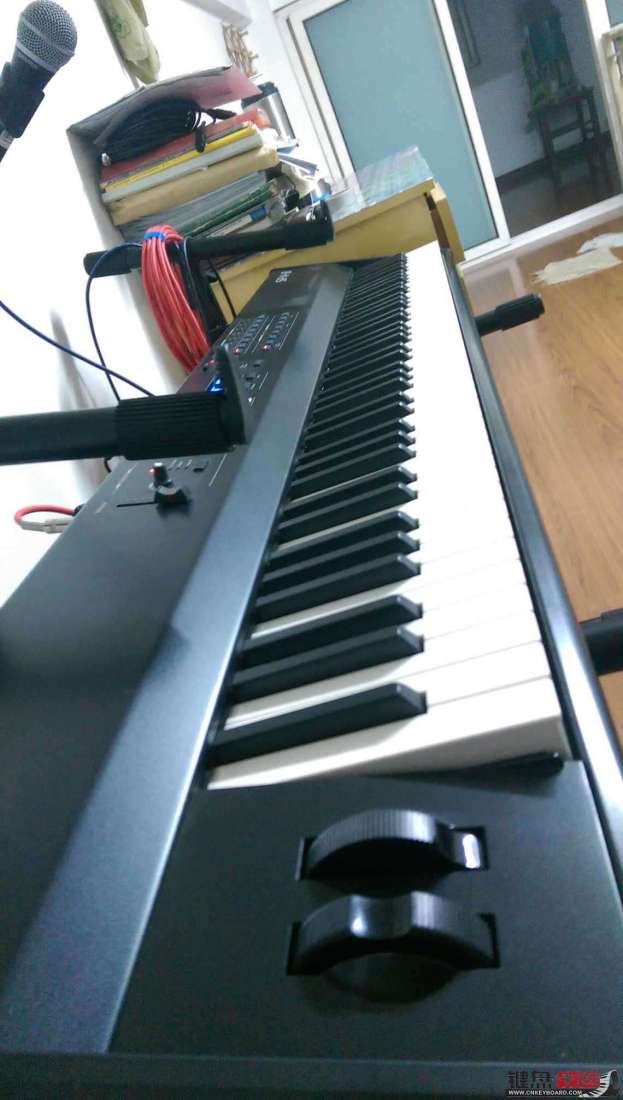 IMAG0098.jpg