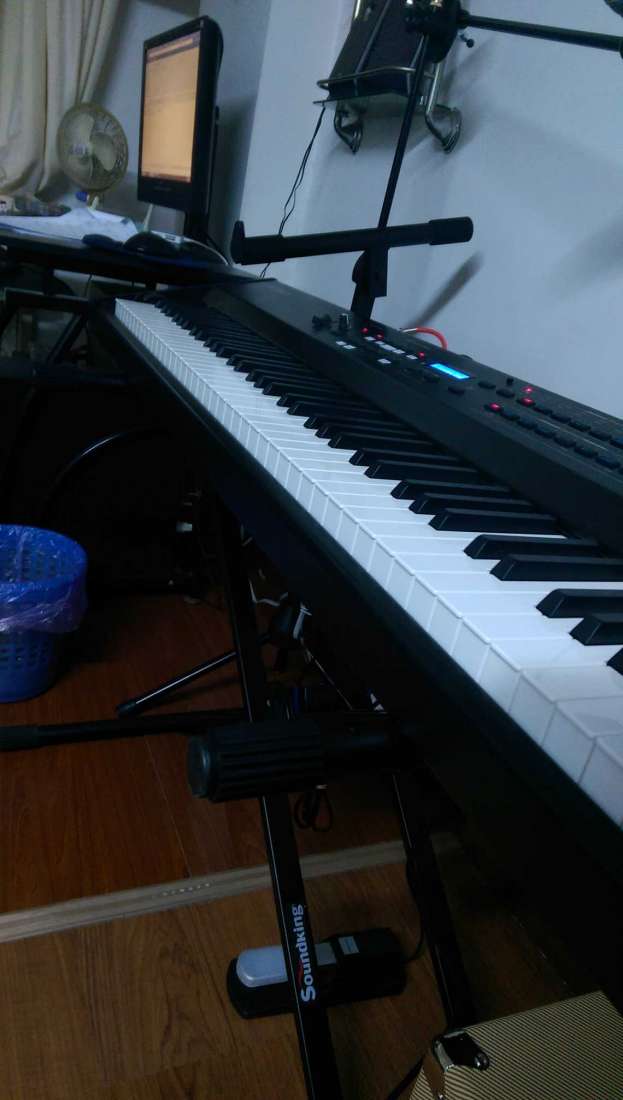 IMAG0099.jpg