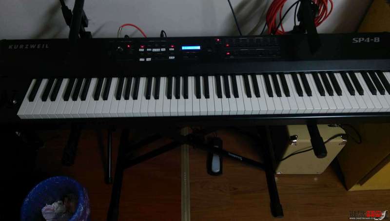IMAG0095.jpg
