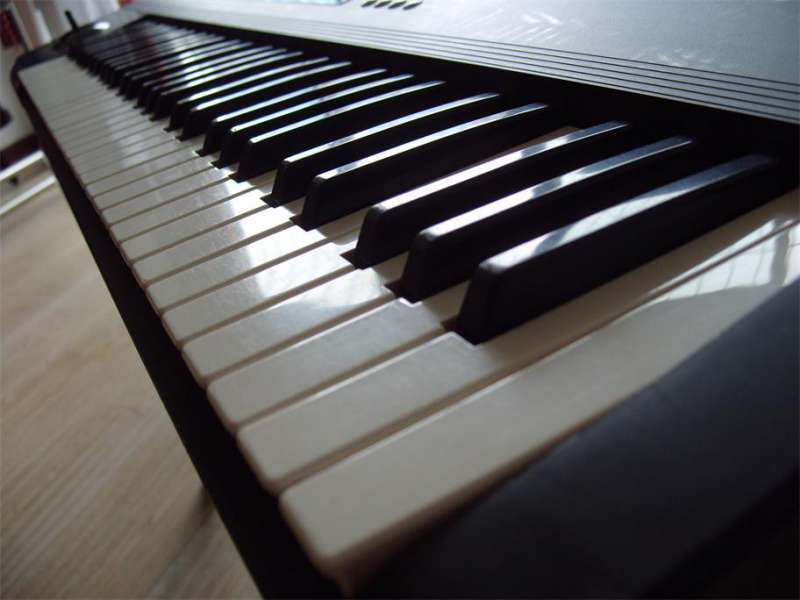 S1053808.JPG