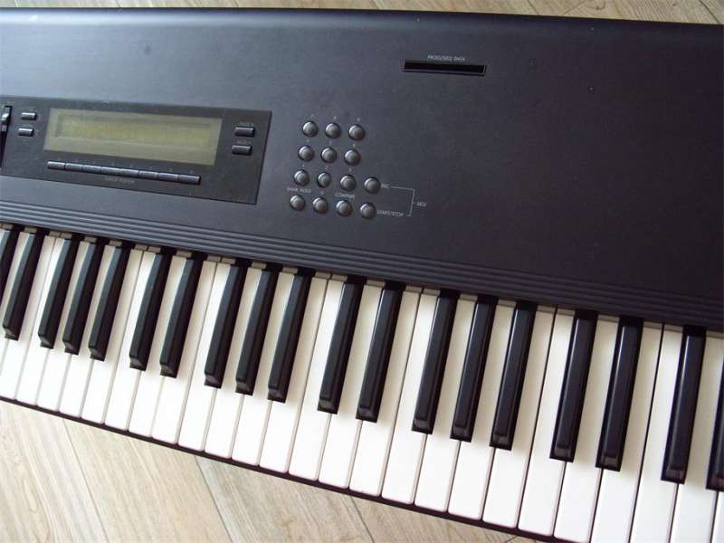 S1053812.JPG