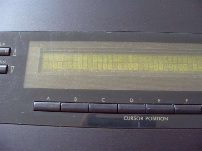 S1053807.JPG