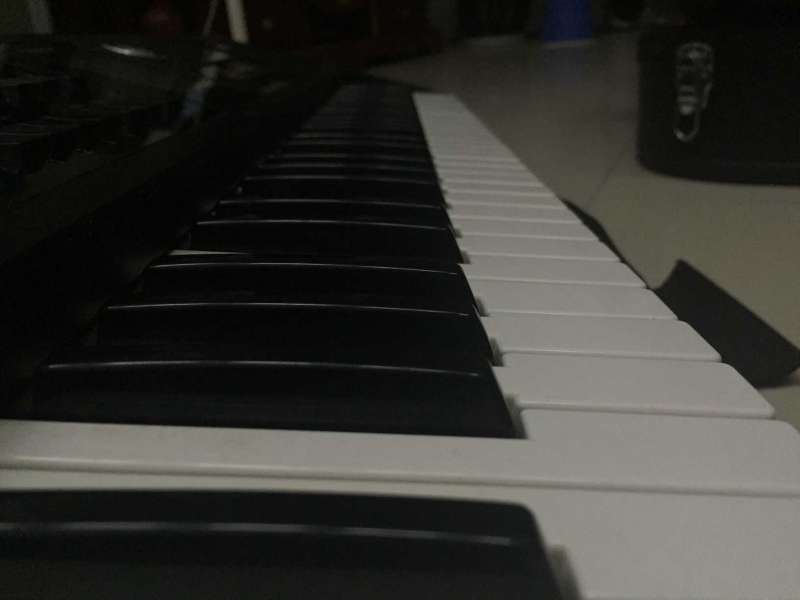 Roland BK5