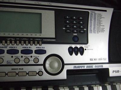 5503.JPG