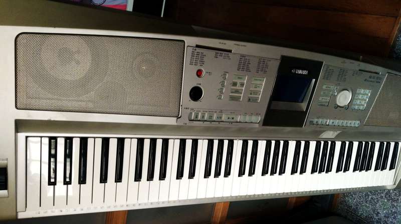 dgx305.jpg
