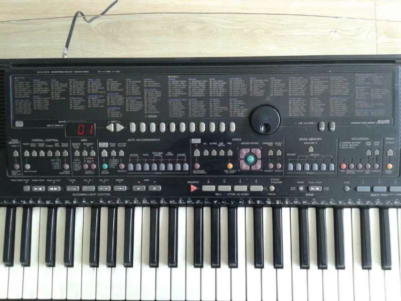 psbCA801WV9.jpg