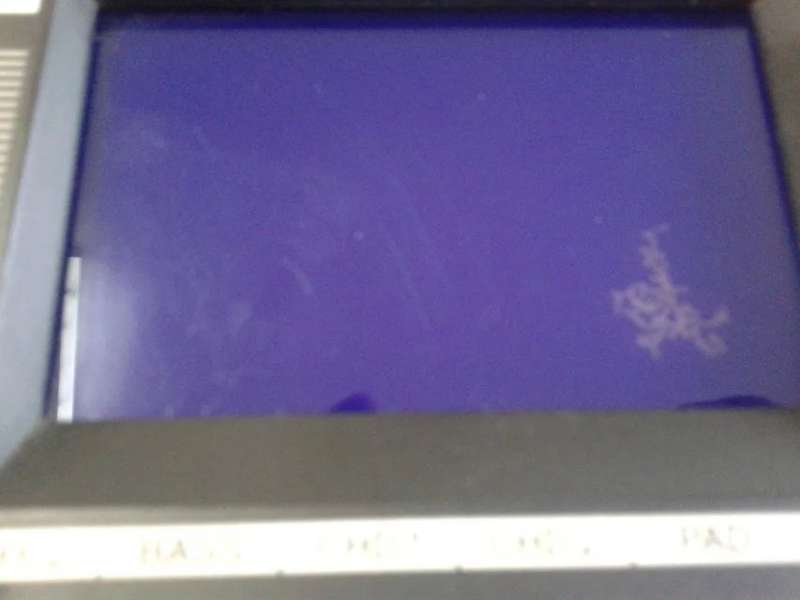 psb (2).jpg