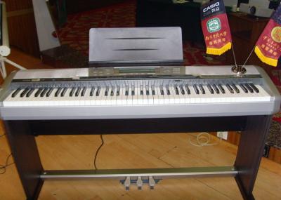 SNV32266.jpg