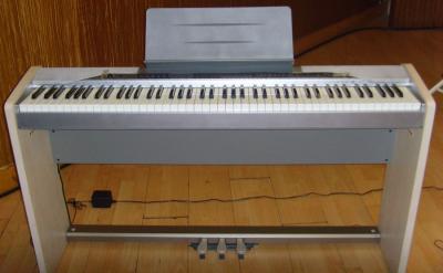SNV32267.jpg