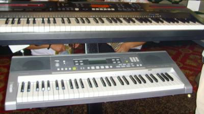 SNV32268.jpg