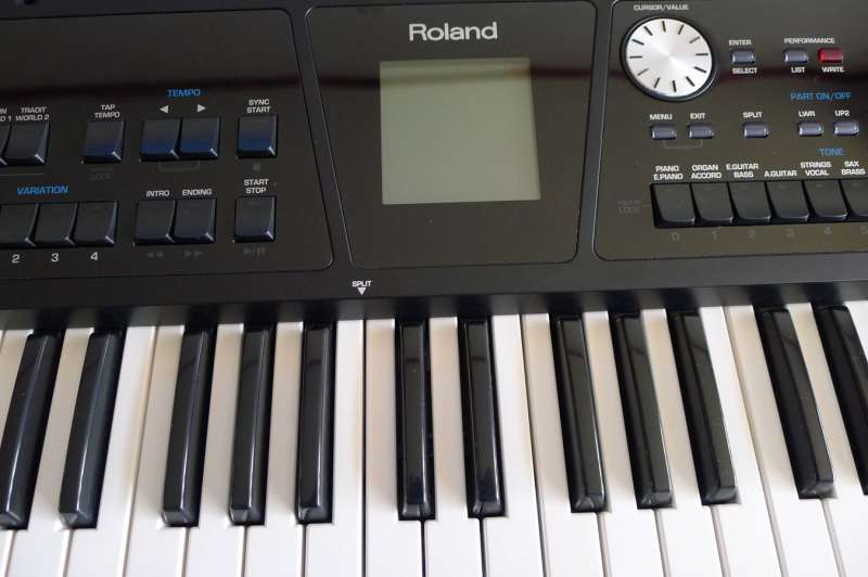 P1010216_.jpg
