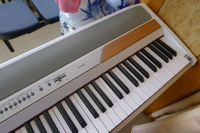 P1010222_.jpg