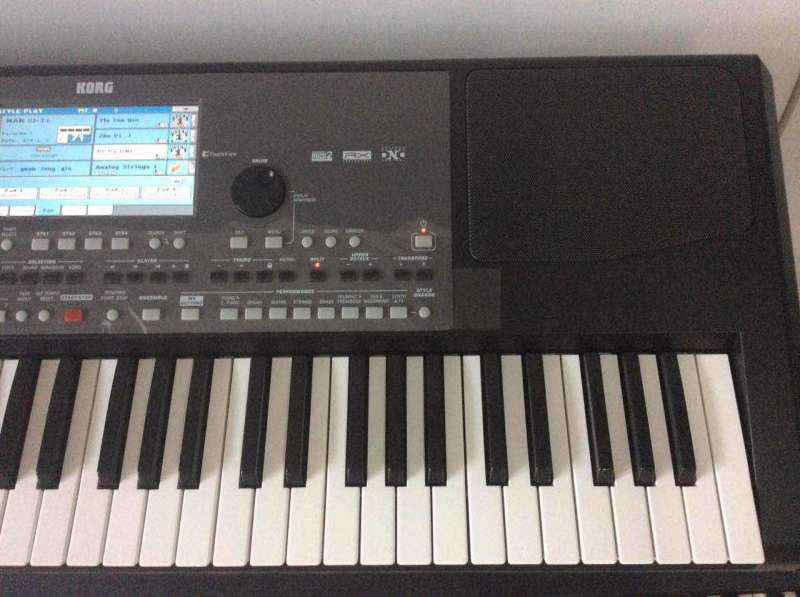 KORG pa600 ����չ ���ְ��ʹ������������Լ�ԭ�����࣬��Դ˵�����׼ܶ��ڣ����ٰ���4800