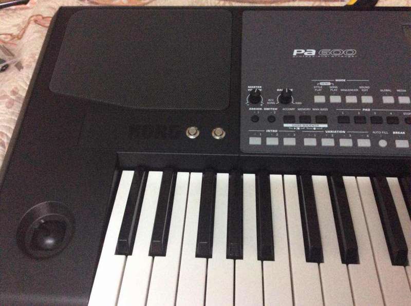 ��װ��KORG pa600 ��������ͬ��������Ų�������ʹ�ð���ܷ��� ��Դ�׼�˵���鶼�ڣ����ٰ���4800