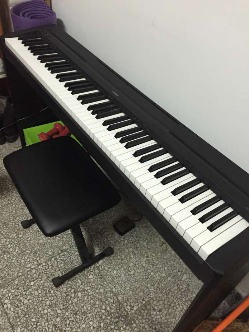 ���ſ��Կ���������ľ��