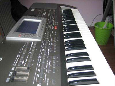 IMG_8781.jpg