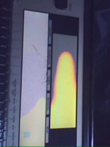 IMG0043A.jpg