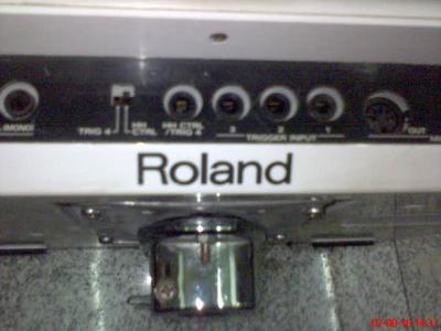 DSC00131.JPG