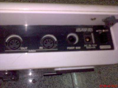 DSC00133.JPG