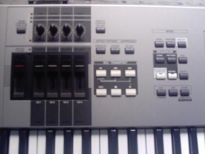 SMDC0058.JPG