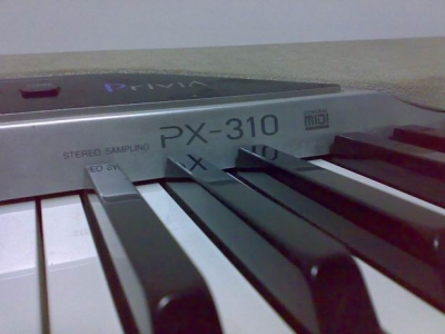 310