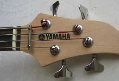 BASS.jpg
